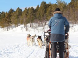 2020 Schweden