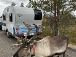 Skandinavien - Nordkapp - 2025