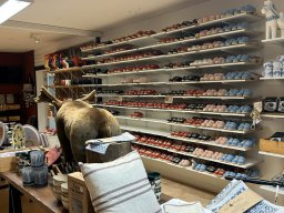 Skandinavien - Nordkapp - 2025