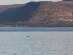 Skandinavien - Nordkapp - 2025