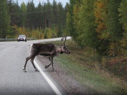Skandinavien - Nordkapp - 2025