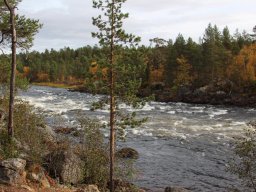 Skandinavien - Nordkapp - 2025