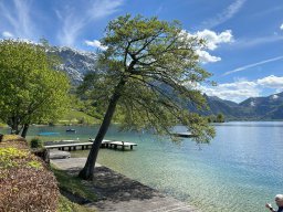 Attersee - Camping Grabner