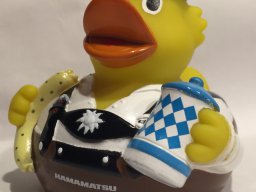 bayer_hamamatsu