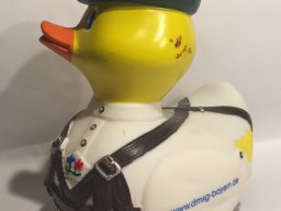 ducktoberfest_dmsg