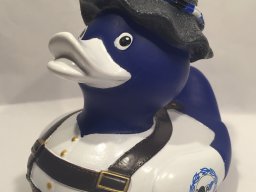 gustl_arminia