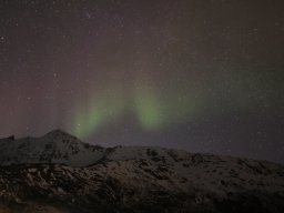Gullesfjord - Gullesfjordbotn Camping