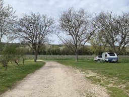 Weingut Schauf - Guntersblum