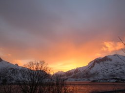 Svolvær - Hammerstadsgate Camping