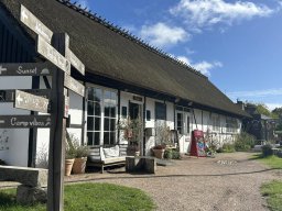 Møns Klint - Camp Møns Klint