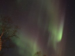 Gullesfjordbotn