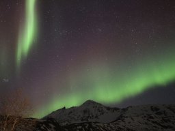 Gullesfjordbotn