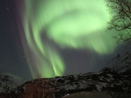 Gullesfjordbotn