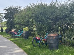 Roskilde - Camping Roskilde