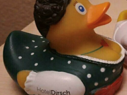 Gesucht wird