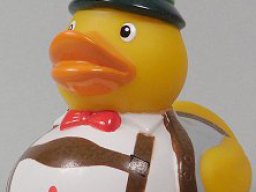 Gesucht wird