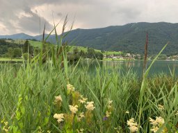 Thiersee - Campingplatz Rueppenhof